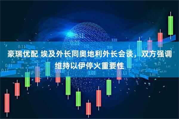 豪瑞优配 埃及外长同奥地利外长会谈，双方强调维持以伊停火重要性