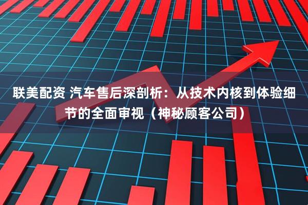 联美配资 汽车售后深剖析：从技术内核到体验细节的全面审视（神秘顾客公司）