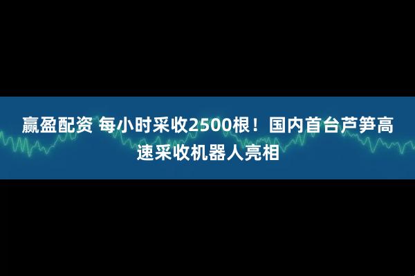 赢盈配资 每小时采收2500根！国内首台芦笋高速采收机器人亮相